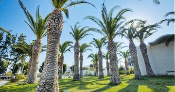 Hotel Kipriotis Hippocrates - hotelová záhrada - letecky zájazd CK TURANCAR (Kos - Psalidi)