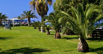 Hotel Sun Beach Resort - záhrada - letecký zájazd CK Turancar (Ialyssos, Rodos)