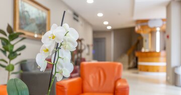 Hotel Airone - Rimini - Taliansko, zájazdy autobusovou a individuálnou dopravou CK TURANCAR