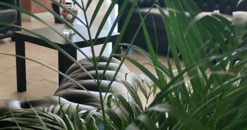 Hotel ARTIDE Rimini Taliansko, dovolenka s CK TURANCAR autobusovou alebo vlastnou dopravou