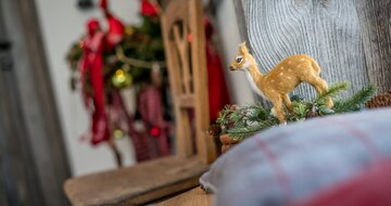 Bergrestaurant Glockneralm - zájzad CK Turancar - Rakúsko zima - Zell am See