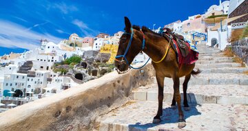 Santorini - uličkami dediniek - letecký poznávací zájazd CK TURANCAR