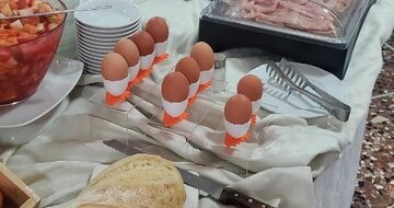 Hotel ALEVON Rimini Miramare - dovolenka autobusovou alebo individuálnou dopravou CK TURANCAR