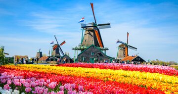 CK Turancar, autobusový poznávací zájazd Benelux, Zaanse Schans