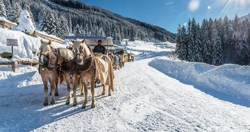 Schatzberg-Haus -  zájazd CK Turancar - Rakúsko zima - Tirolsko -Ski Juwel Alpbach Wildschönau