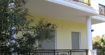 Apartmány Sofi - autobusová doprava CK Turancar (Thasos, Pefkari)