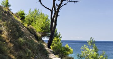 Hotel Asterias -pláž Aliki Thasos  -výhľad - letecký zájazd CK Turancar (Thasos Limenria)