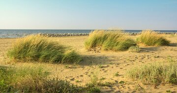 Rezidencia Gondola B v BIBIONE SPIAGGIA, zájazdy autobusovou a individuálnou dopravou  do Talianska, CK TURANCAR