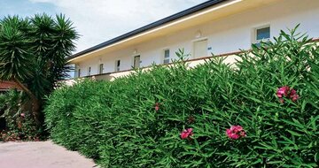 Apartmány Green Garden - individuálny zájazd CK Turancar - Taliansko, Kalábria